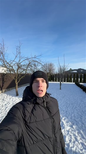 Казочки про німецьких вівчарок: цікаві факти