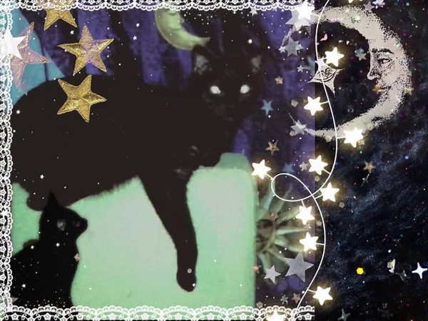 Whimsical Gothic Cat Aesthetic in Dark Atmosphere