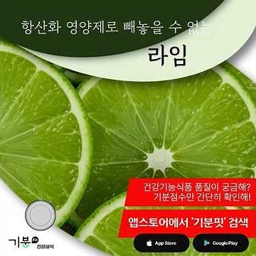 항산화 영양제로 빠질 수 없는 라임 #항산화영양제 #라임효능 #천연항산화제 #비타민C #피부노화방지 #라임활용법 #모히또 #건강정보 #웰빙식단