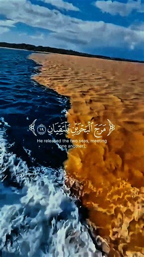تلاوة هادئة ومؤثرة 🖤🖤ياسر الدوسري سورة الرحمن