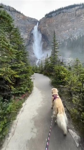 Choose the days future‑you remembers 🏔️🐾