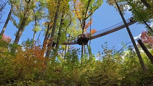 We are SO close to peak season and a colorful walk through the forest on the Treetop Skywalk! Drop a 🍁 if you are ready?! #anakeesta #autumnatanakeesta #visitgatlinburg #fallcolors #greatsmokymountains | Anakeesta