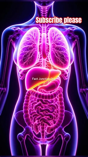 Top 6 Fact food surprising video #fact #food fact hacks 🌰 random facts #facts shorts #viral #Shorts