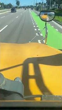 2020 bluebird vision ride