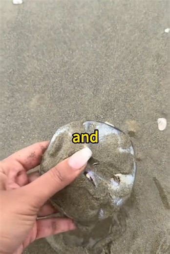 Brooke & Jubal: Second Date Prank Call Update