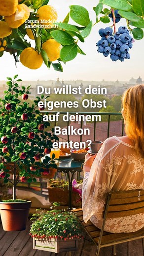 2.3K views · 12 reactions |  Dein Obstgarten auf dem Balkon! Du...