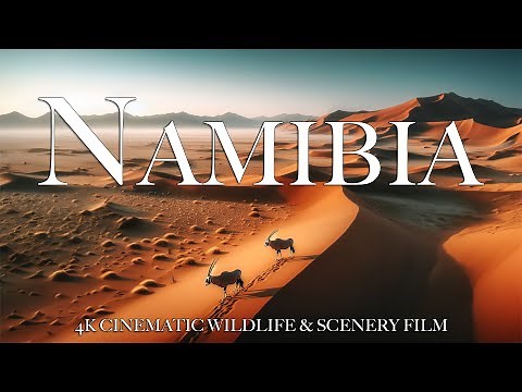 Namibia 4K - Cinematic Wildlife Film | Scenic Relaxation
