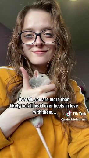 Rat Care Tips for Beginners: Essential Guide