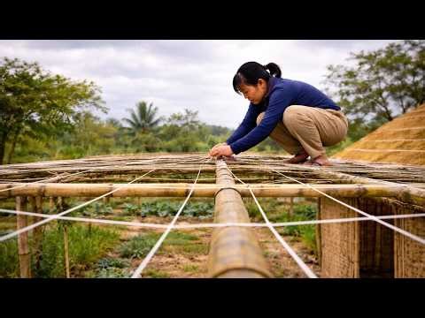 The Poor Girl Built A Very Sturdy Bamboo Trellis For Her Farm Herself | Warm Home