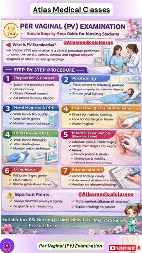 Per Vaginal (PV) Examination | Pelvic Examination procedure Obstetrical significance #pelvichealth⚕️