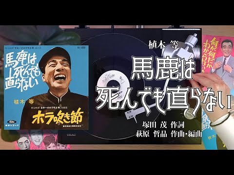植木 等｢馬鹿は死んでも直らない｣ANALOG RECORD MUSIC