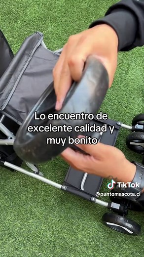 Este es el coche perfecto 😍😮‍💨 #mascotas #perros #gatos #coches #cochedeperro #dato #articulosdemascotas #productos #chile #enviogratis