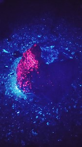 Ruby rock film last night's avenue | Bob Summers