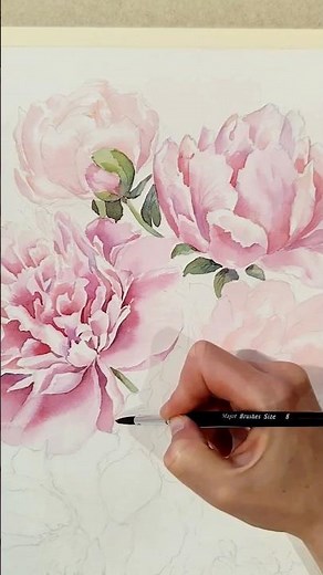painting watercolor peonies. quick tutorial #paintingwatercolor #art #watercoloring #peony