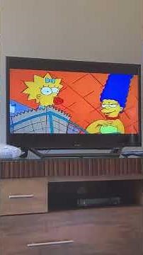 The simpsons theme song