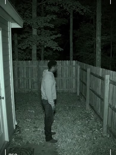 Security Camera Captures Instant Flight from Unexpected Wildlife