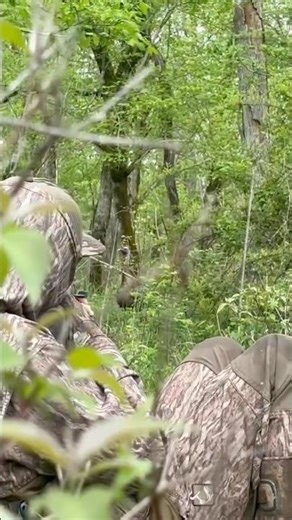 🦃 Turkey season loading… Who’s ready to hear that first gobble?? #huntinglife #outdoors #public