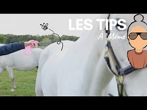 [GRANDNA'S TIPS] Make a natural fly repellent! 🐜💨