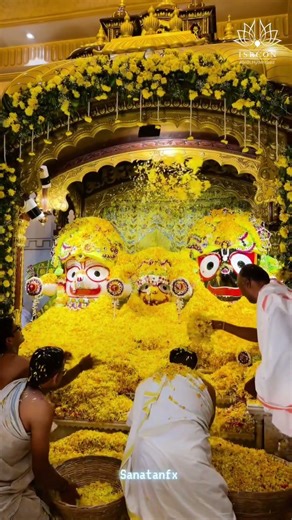 Jagannath Chakaanain 🙏 | Shri Jagannath Ji Ka Divya Darshan ✨🌼
