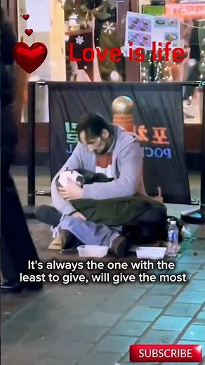 Unbelievable Dog Moments You Have to See