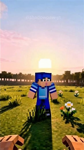 Minecraft #shorts
