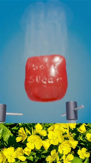 How Old Machines Made Candy Drops 😮 | The Forgotten Candy-Making Process