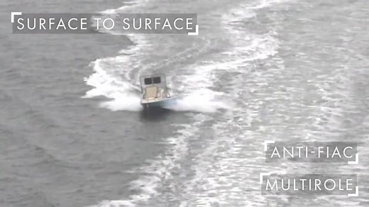 Lightweight Multirole Missile Destroys Boat