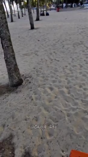 Caique Rodrigues on Instagram: "Já tá seguindo o @caique_r46_oficial pra não perder nenhum conteúdo ?"