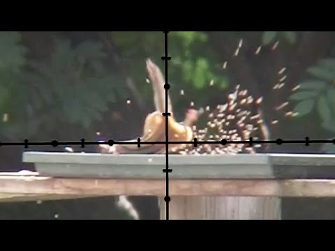 If HEADSHOTS kill INSTANTLY, why all the THRASHING around?!?