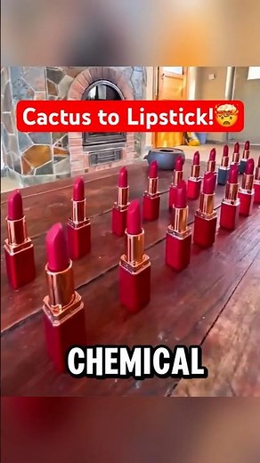 How Lipstick Is Made From a Cactus