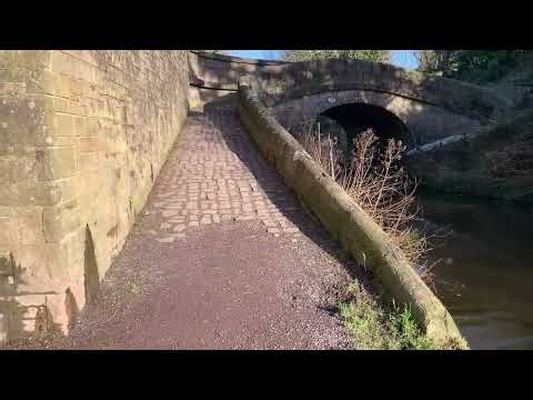 A SNAKE BRIDGE ON MACCLESFIELD CANAL