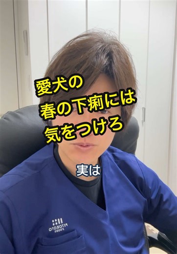 愛犬の春の下痢、気をつけて #犬 #獣医師 #犬がいる生活 #下痢 #吐く #ハグウェル動物総合病院 #食中毒 #軟便 #ペットフード #ドッグフード