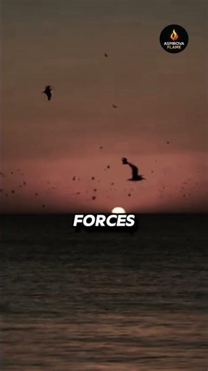 Character Grows in Storms, Not Sunshine ⛈️🔥 || #character #motivation #growth