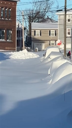 “Don’t throw the snow in the street” doesn’t apply to this guy. - Mandi | Fall River Reporter