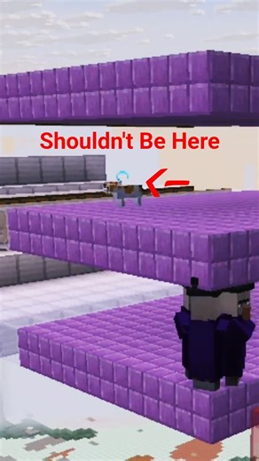 Minecraft Spectator Detector: Cat Spawning? (see description) #technicalminecraft