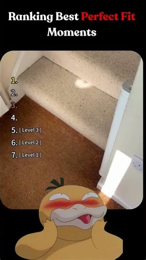 Top Perfect Fit Moments That Are Too Satisfying 🤯