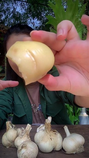 Mukbang tỏi voi Cát Lai - ăn tỏi khổng lồ, tỏi nướng, Bánh Tráng Tỏi