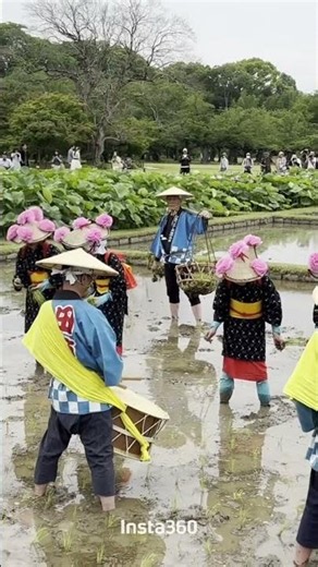 岡山後楽園田植え踊り