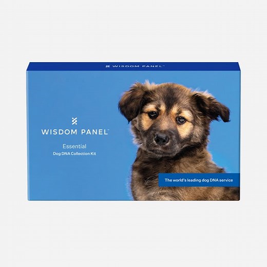 Wisdom Panel™ Essential | Know your whole dog with the most accurate dog DNA test