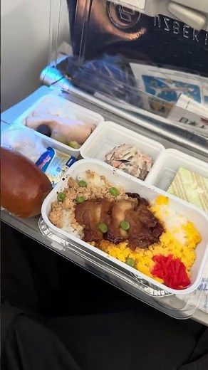 ウズベキスタン航空『HY528便』成田空港→ウズベキスタンの首都タシケント直行便利用！ボーイング787の機材‐中央アジア(旧ソ連)Uzbkistan airways HY528 from Tokyo