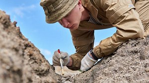 These fossils could belong to world's largest creature