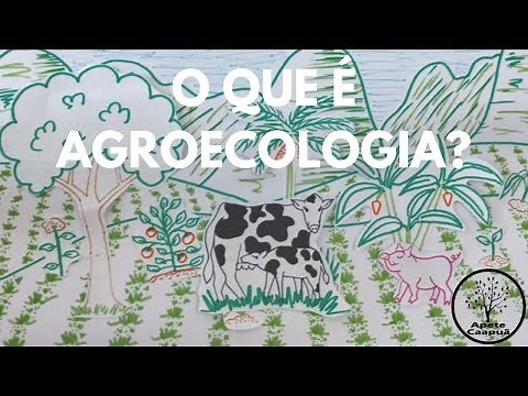 O QUE É AGROECOLOGIA?