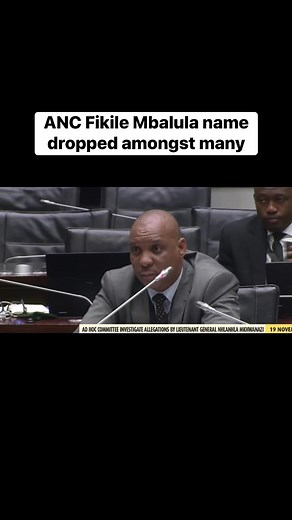 X2⏩ does this mean Cedric Nkabinde will need witness protection as of tonight? He spilled the beans and name dropped #AdHocCommittee #FikileMbalula #generalmkhwanazi | Mzansi Brewed