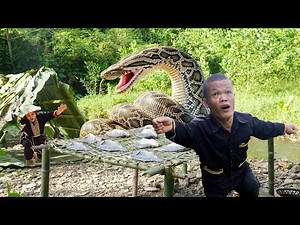 Dwarf Family Encounter Giant Python While Catching Fish and Preserving Fish in Primitive Way