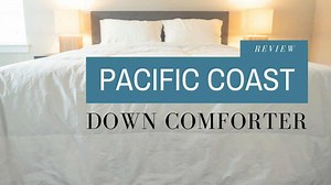 Pacific Coast Down Comforter Review (2025) - Mattress Clarity