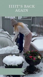 May 5 and covered in snow. 😒 Cold weather spring favorites for my high desert 7a region: Save this post! I get asked often for this list! Primroses! I’ve been adding this cold hardy perennial out into the garden for a couple weeks now and they are showing off their bold color daily. Pansies - always a favorite garden flower of mine 😍. I love their large faces and showy colors. Violas - their smaller scale is a lovely contrast to the size of a pansy. They are a productive bloomer and also seed 