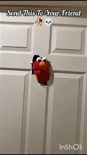Funny Elmo #funny #elmo #comedy #memes