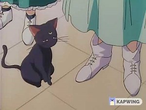 Sailor Moon - Luna Sick