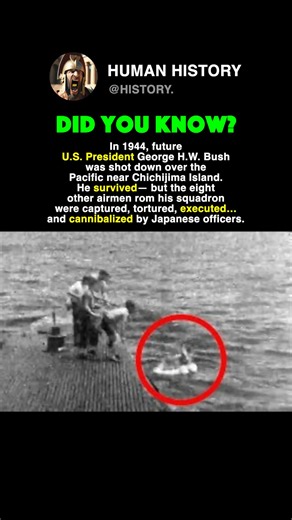 This U.S President Was SHOT DOWN In WWII #history #ww2
