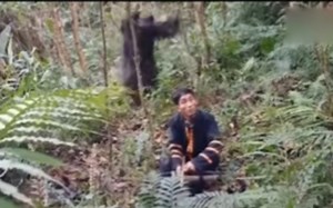 野人狡猾的埋伏 以及从背后偷袭攻击人的全过程（证明野人居然有一定的思考力）！尼玛的童年阴影啊，视频总体有点瘆人，小朋友不要点进来观看，因儿童看了晚上会做噩梦！